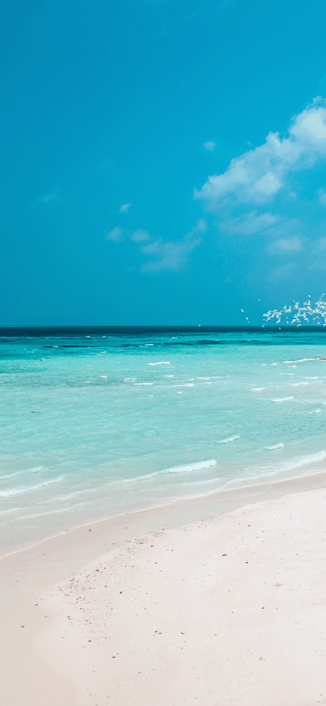 Mexican Beach. Beautiful blue water.